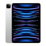 Apple iPad Pro 11" 4th Gen