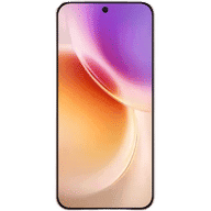 Vivo Vivo X300